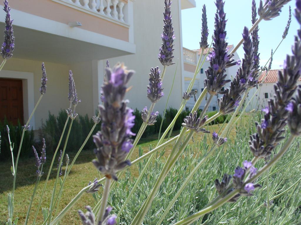 Anemos Apartments ماراثوكابوسْ المظهر الخارجي الصورة